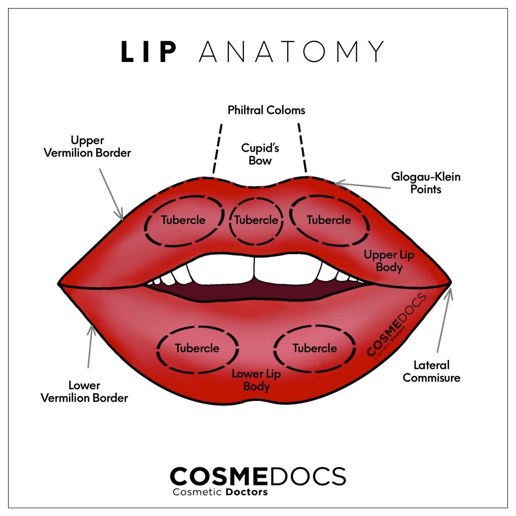 Half Syringe Lip Filler Before and After AestheticLipsInfo.com: A Gentle Path to Perfect Lips