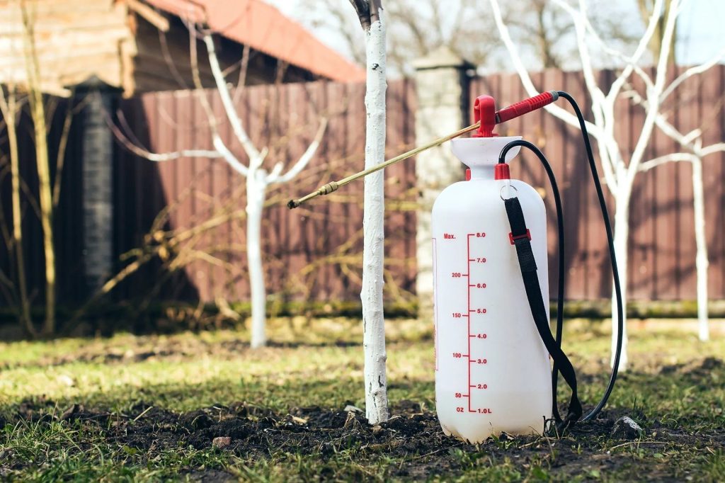 A Practical Guide to Home Pest Control in Penrith