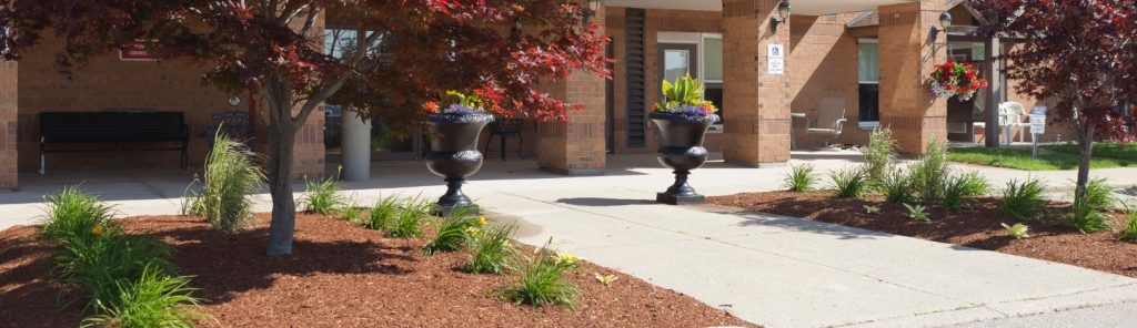 Snow Removal in Kitchener: Practical, Personable Exterior Care