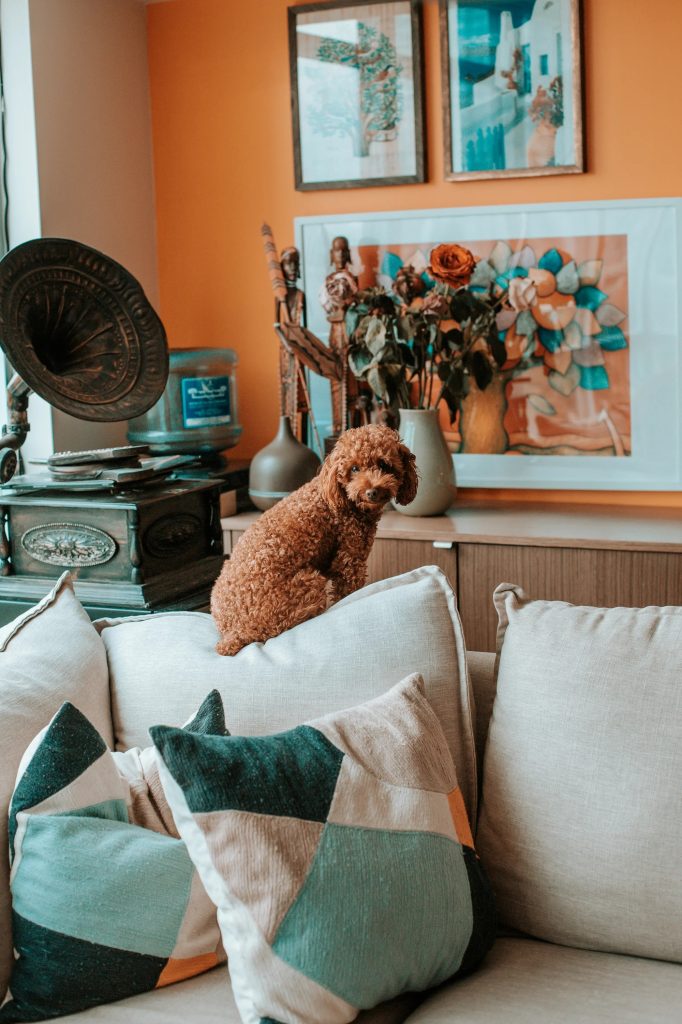 Smart Picks for Pet Keeping: Ramps and Tanks Online UK Smart Picks for Pet Keeping: Ramps and Tanks Online UK