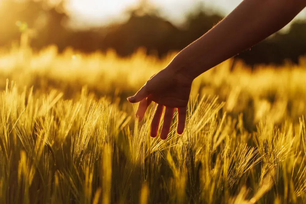 Find Real Psychiatric Services in Connecticut: A Clear Path Find Real Psychiatric Services in Connecticut: A Clear Path