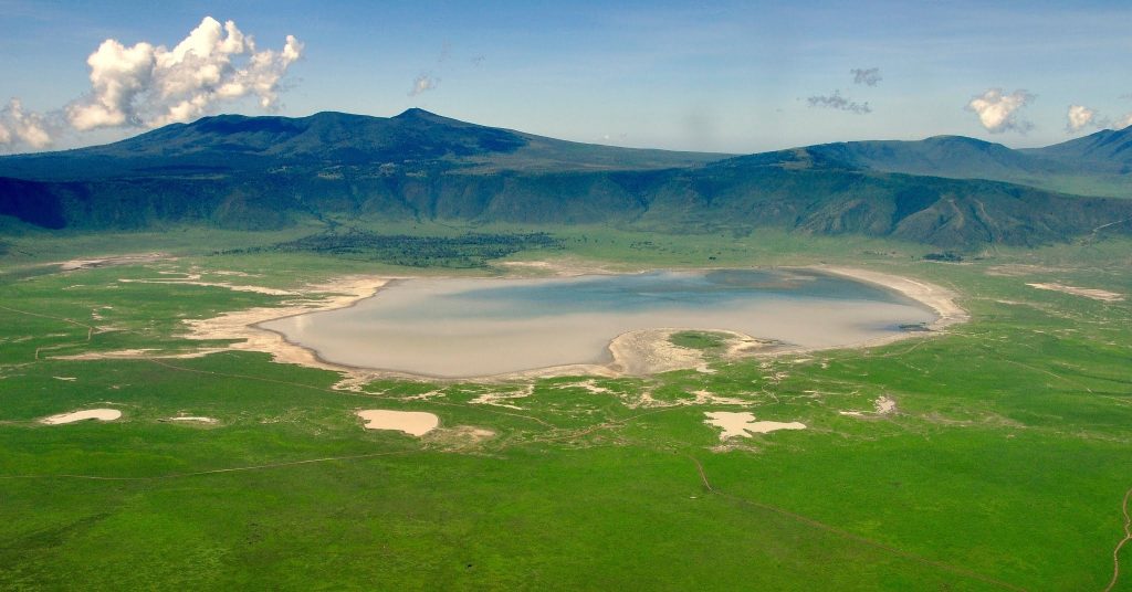What makes the Best African Safari Company stand out