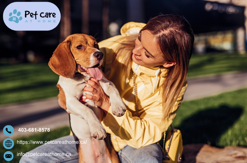 Compassionate Guidance for End of Life Care in Calgary Compassionate Guidance for End of Life Care in Calgary