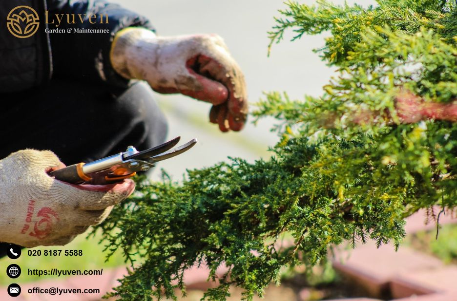 Discover Top Exterior Care Specialists Near You Discover Top Exterior Care Specialists Near You
