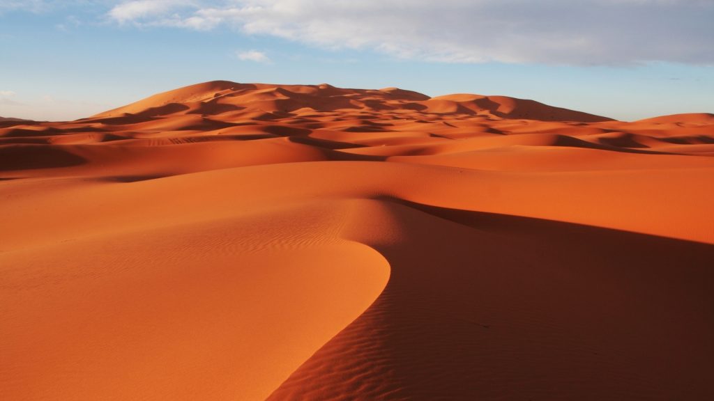 A Truly Extraordinary Safari Experience in Africa