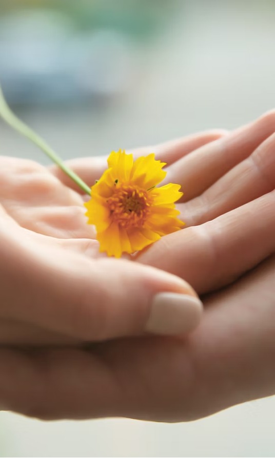 Expert Child Neuropsychology Assessments in Toronto: What to Expect Expert Child Neuropsychology Assessments in Toronto: What to Expect