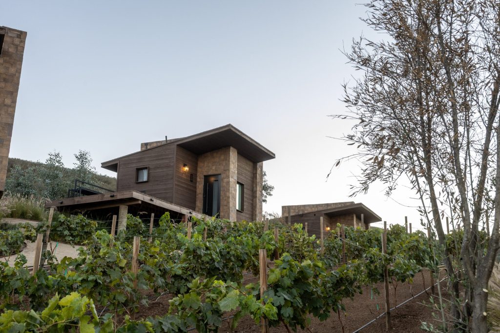 Wine Country Escape: A Scenic Tour of Baja’s Valley Wine Country Escape: A Scenic Tour of Baja’s Valley