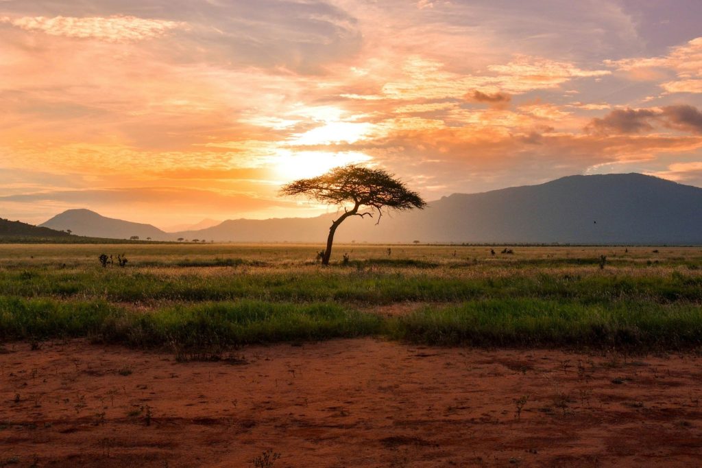 Unforgettable Kenya Wildlife Safaris: Expert Gear and Itineraries Unforgettable Kenya Wildlife Safaris: Expert Gear and Itineraries