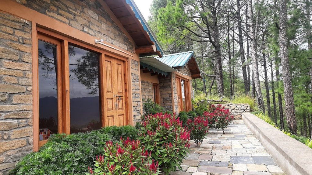 Gentle hikes through coastal pine and cedar forest trails Gentle hikes through coastal pine and cedar forest trails