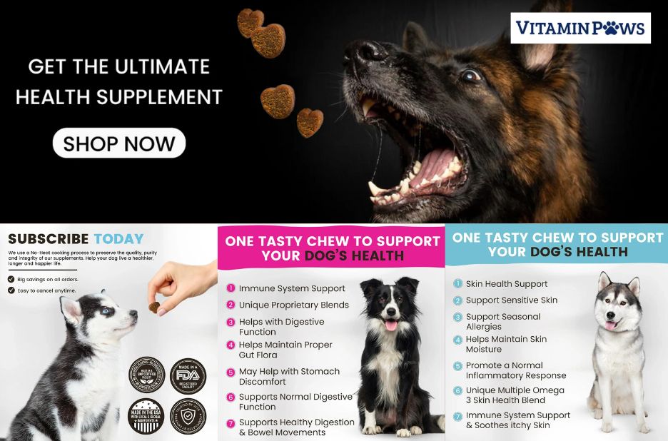 Supporting canine joints: safe, effective options for active dogs Supporting canine joints: safe, effective options for active dogs