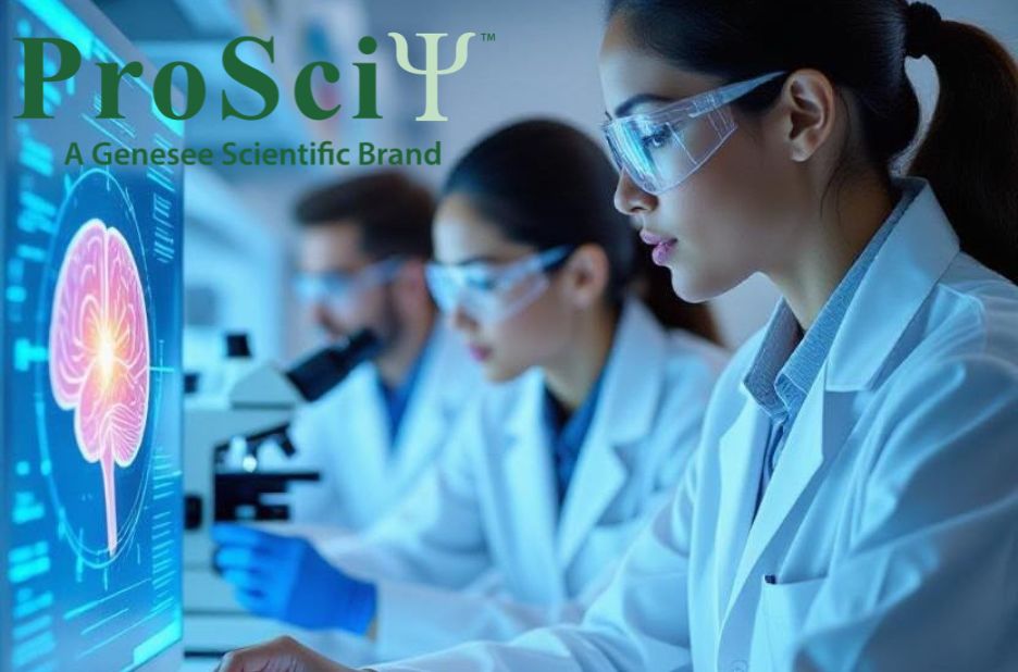 Optimising the Western Blot Protocol for Clear Results Optimising the Western Blot Protocol for Clear Results