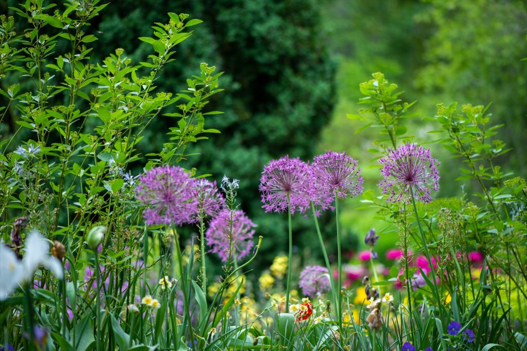 Brighten Your Home: Expert Driveway Care in Bristol