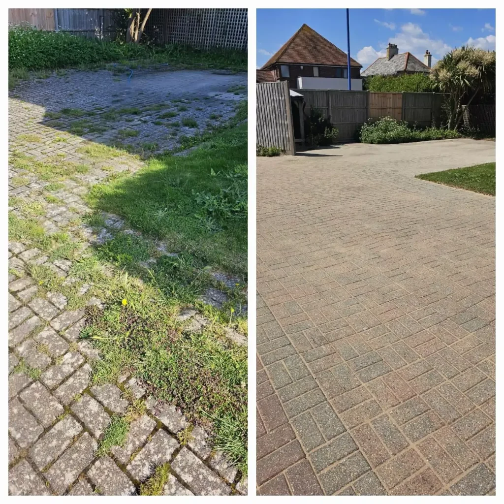 Skilled Moss Removal for a Durable, Moss-Free Roof