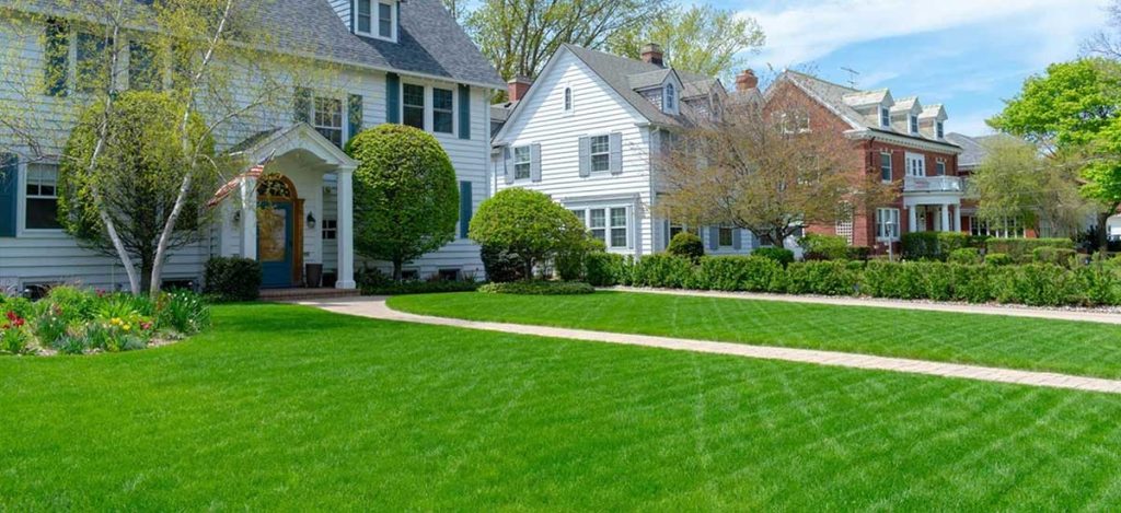 Trusted Lawn Care That Cares for Your Green Space