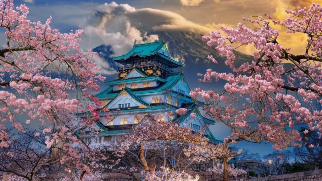 Cherry Blossom Season Japan: A Dream Escape