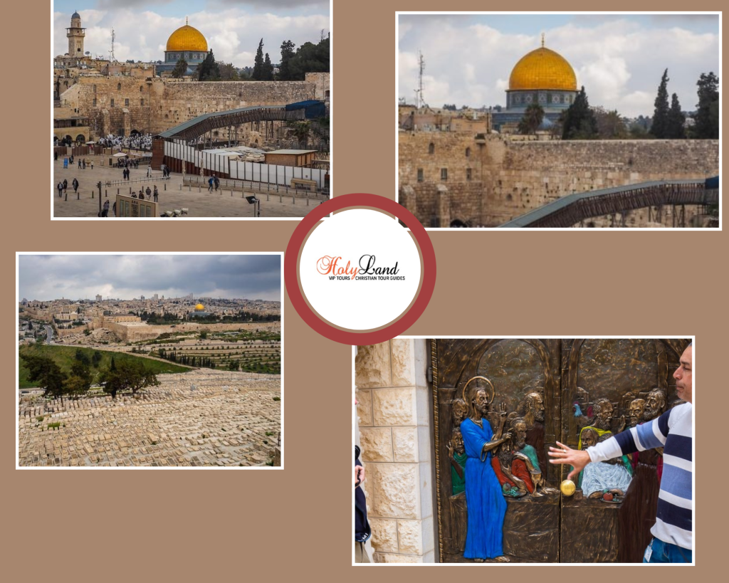 Jerusalem’s hallowed olive groves: a pilgrimage site’s soul