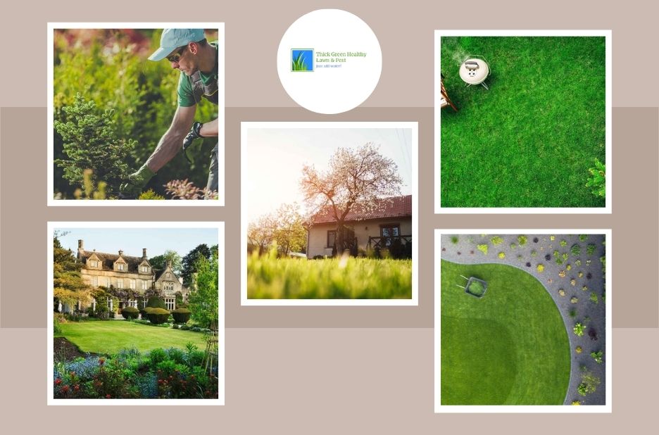 Professional Lawn Aeration in San Antonio for Healthier, Thicker Turf Professional Lawn Aeration in San Antonio for Healthier, Thicker Turf