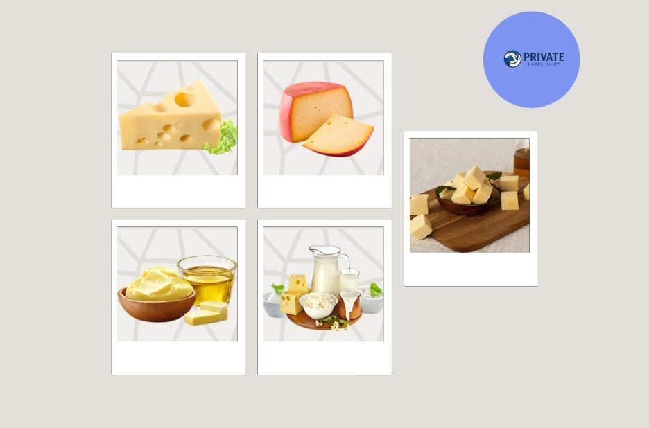 Top Dairy Manufacturing Services for Private Label Brands with Global Export Expertise Top Dairy Manufacturing Services for Private Label Brands with Global Export Expertise