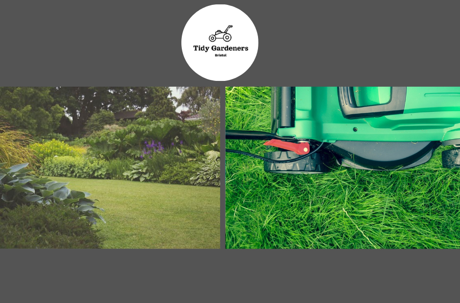 Pruning and lawn shaping services in Bristol you can trust Pruning and lawn shaping services in Bristol you can trust