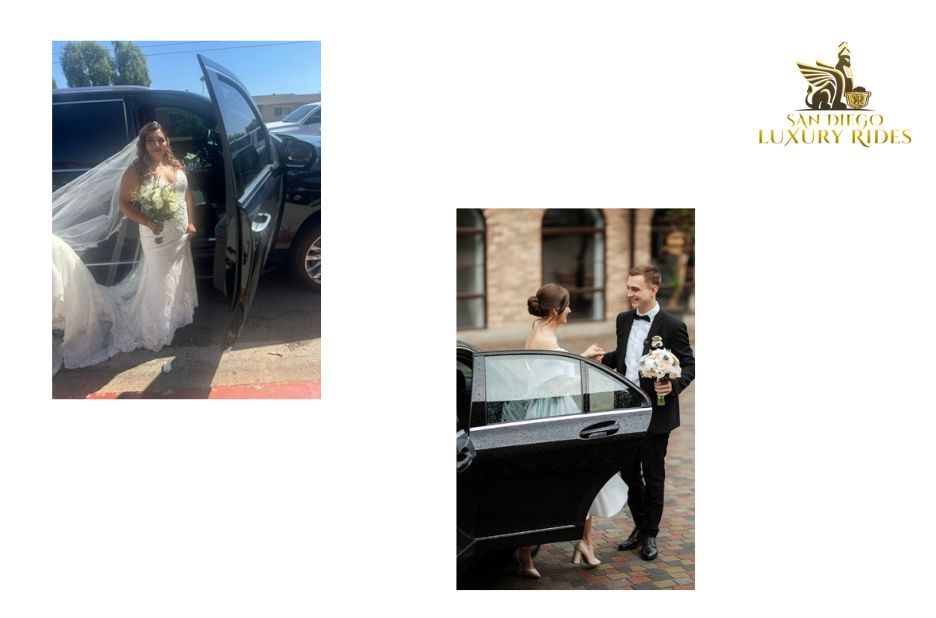 Tailored San Diego Experiences: Private Tours That Fit You Tailored San Diego Experiences: Private Tours That Fit You
