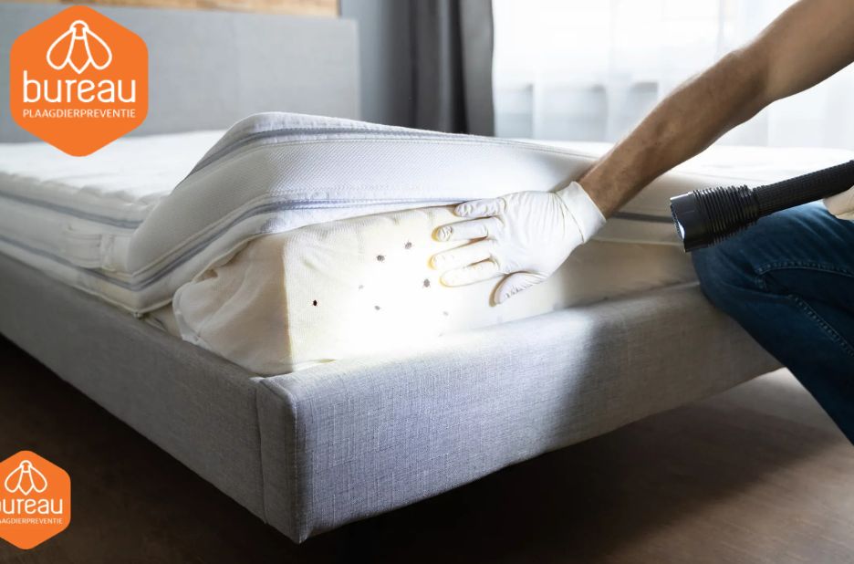 Motten eieren voorkomen en verwijderen: effectieve tips voor kledingbescherming Motten eieren voorkomen en verwijderen: effectieve tips voor kledingbescherming