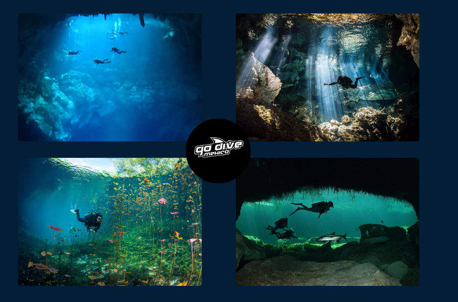 Dive into Tulum’s Hidden Blue Caverns: A Cenote Adventure Dive into Tulum’s Hidden Blue Caverns: A Cenote Adventure