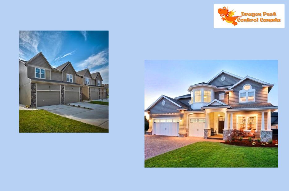 Top Pest Control in Edmonton: Local Experts You Can Trust Top Pest Control in Edmonton: Local Experts You Can Trust