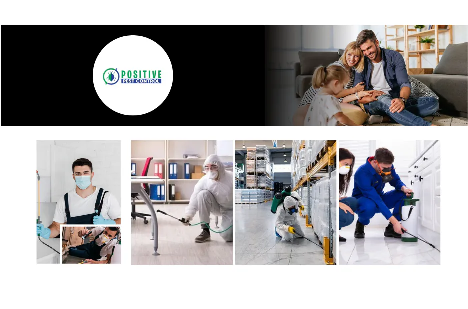 Top Pest Control Services Calgary for Effective and Affordable Extermination Solutions Top Pest Control Services Calgary for Effective and Affordable Extermination Solutions
