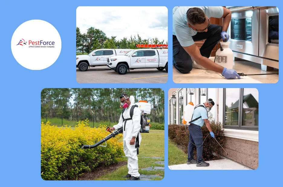Top Pest Control Services Calgary for Effective and Reliable Pest Management Top Pest Control Services Calgary for Effective and Reliable Pest Management