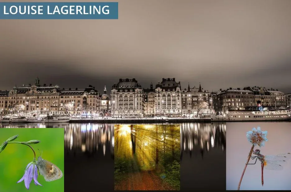 Psykolog Östermalm – Professionell hjälp för ångest, depression och relationsproblem Psykolog Östermalm – Professionell hjälp för ångest, depression och relationsproblem