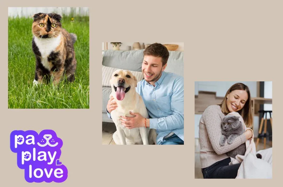 Find Puppy Play Dates Near Me for Fun and Socializing with Your Furry Friend Find Puppy Play Dates Near Me for Fun and Socializing with Your Furry Friend