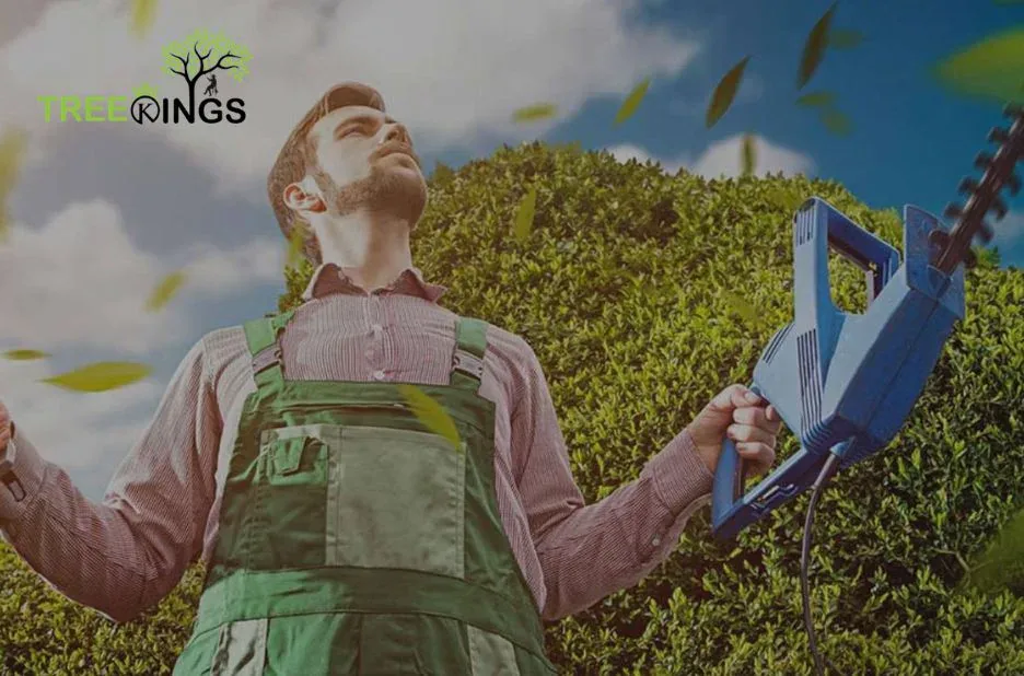 Expert Stump Removal Strathmore Services for Safe and Efficient Yard Cleanup Expert Stump Removal Strathmore Services for Safe and Efficient Yard Cleanup