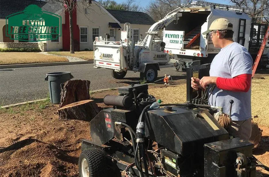Effective AirSpade Root Excavation Techniques for Optimal Tree Health Management Effective AirSpade Root Excavation Techniques for Optimal Tree Health Management