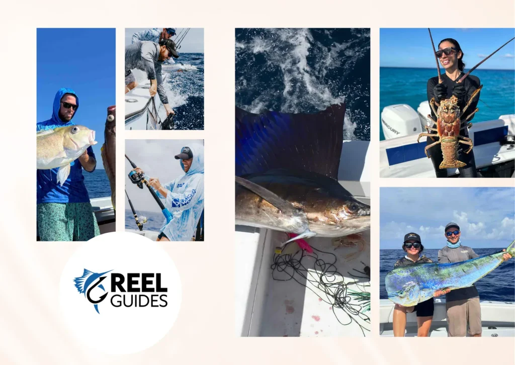 Top Fort Lauderdale Fishing Trips with Expert Captains for an Unforgettable Experience