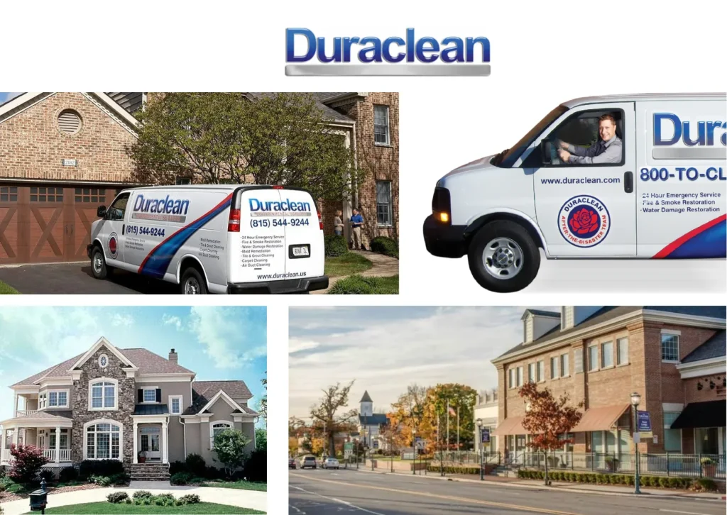 Expert Upholstery Cleaning Belvidere Services for Fresh and Healthy Furniture