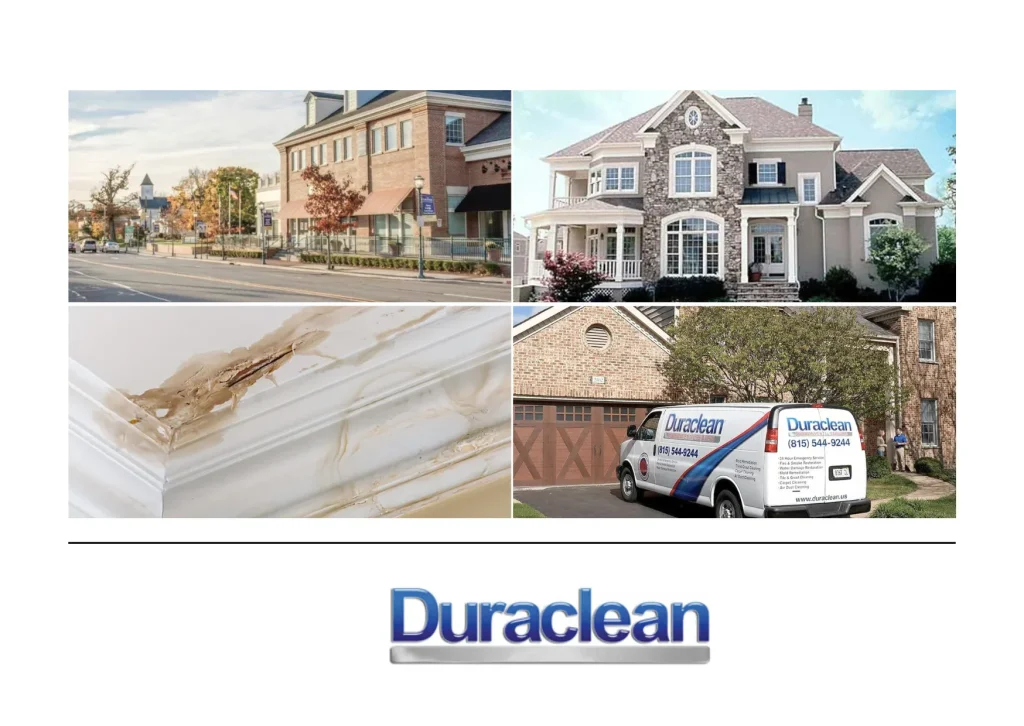 Top Upholstery Cleaning Belvidere Services to Refresh and Protect Your Furniture