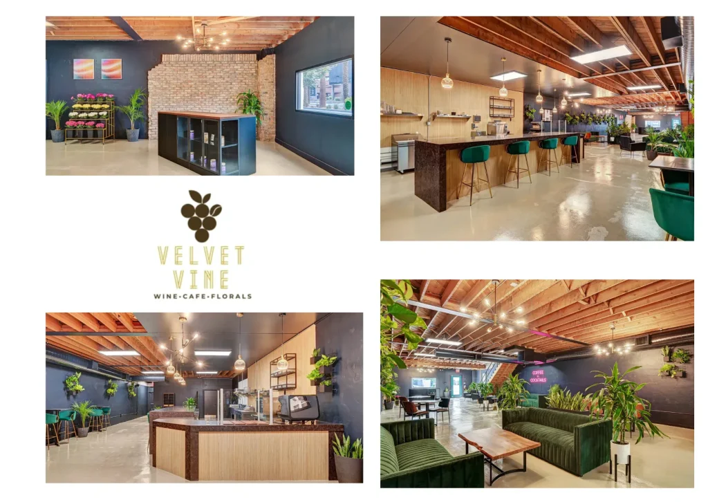 Velvetvinewine: Discover Curated Wine Selections and Tasting Inspiration