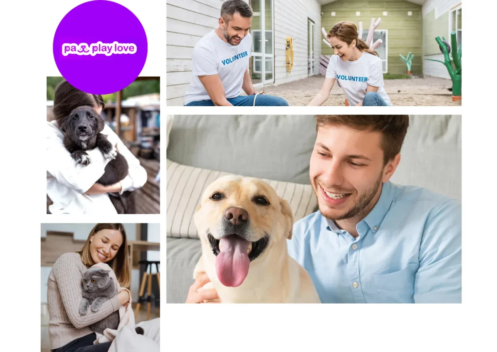 Find Love for Your Furry Friends on the Best Cats Dating Website