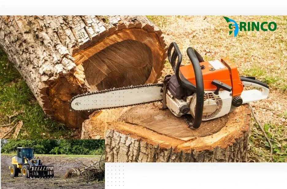 Expert Tree Removal Point Cook Services for Safe and Efficient Property Care Expert Tree Removal Point Cook Services for Safe and Efficient Property Care