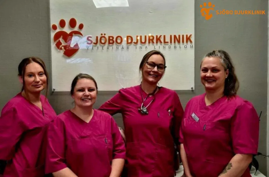 Professionell och omtänksam avlivning av katt i Simrishamn på Sjobodjurklinik.se Professionell och omtänksam avlivning av katt i Simrishamn på Sjobodjurklinik.se