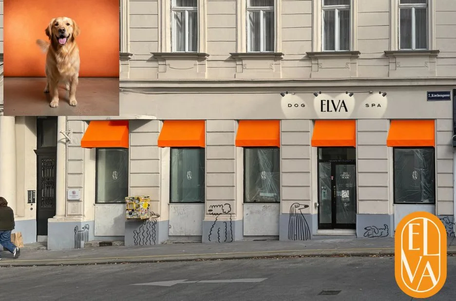 Dog Groomer Wien – Professionelle Fellpflege und liebevolle Betreuung für Ihren Hund Dog Groomer Wien – Professionelle Fellpflege und liebevolle Betreuung für Ihren Hund