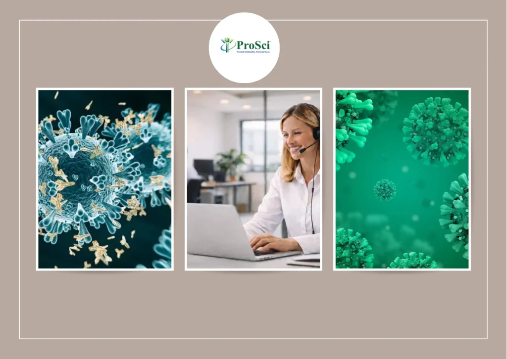 Enhance Research Accuracy with High-Quality Immunofluorescence Antibodies for Precise Detection