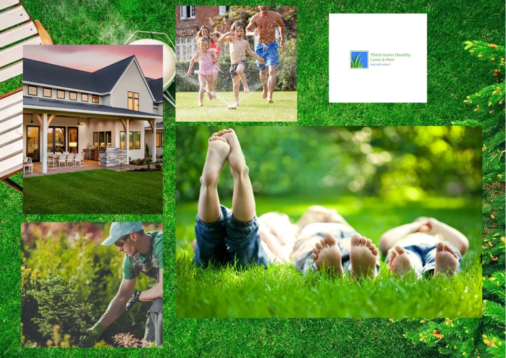 Expert Tips for Professional Lawn Aeration in San Antonio to Achieve Healthier Turf