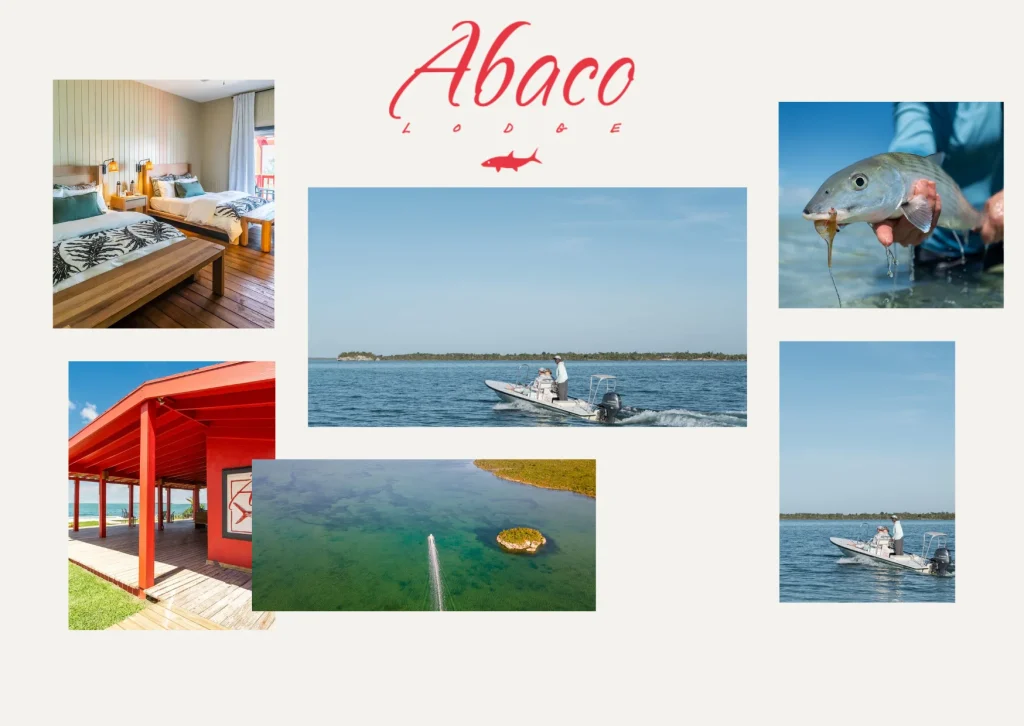 Ultimate Guide to Fishing in Abaco Bahama for Anglers and Enthusiasts