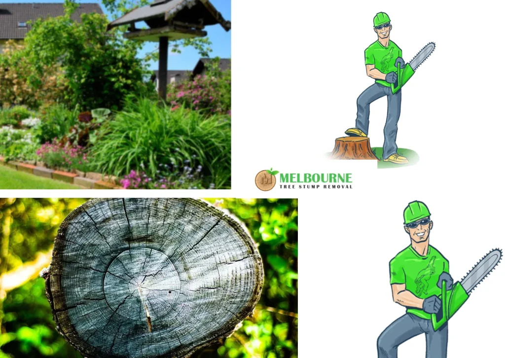 Professional Stump Grinding Caroline Springs Services for Safe and Efficient Tree Maintenance