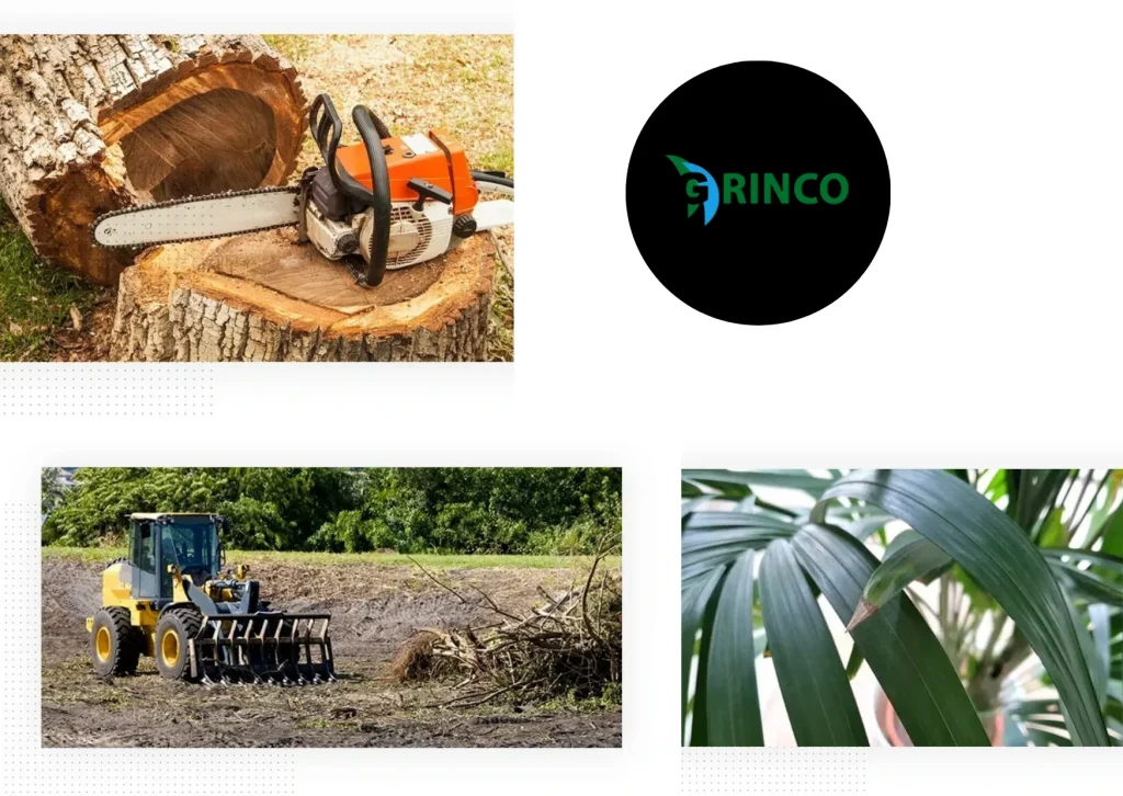 Professional Tree Removal Deer Park Services for Safe and Efficient Property Care