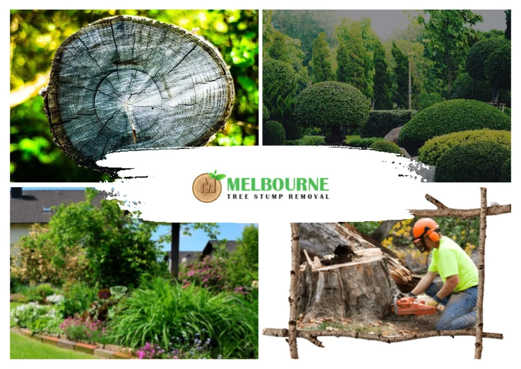 Expert Stump Removal Toorak Services for Pristine Outdoor Spaces