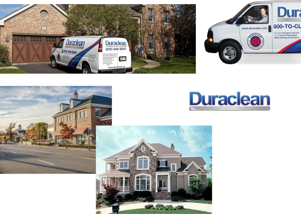 Expert Carpet Cleaning Belvidere Services for a Cleaner, Healthier Home