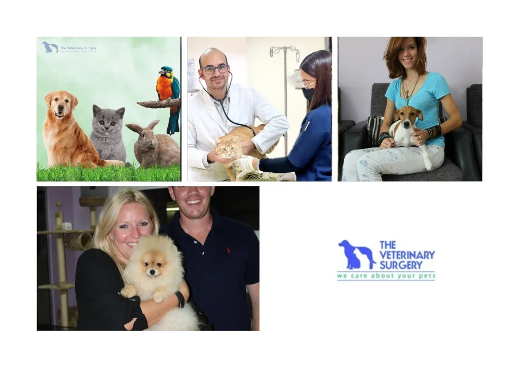 Trusted Emergency Vet Qatar Services for Immediate Pet Care and Support