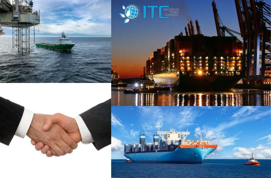 How to Identify the Best Commodity Trading Companies in Egypt for Reliable Bulk Sourcing How to Identify the Best Commodity Trading Companies in Egypt for Reliable Bulk Sourcing